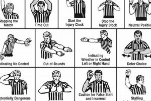 2024 Guide: High School Wrestling Rules Updates Best Schools in America: Top Public & Private Options 2024 Guide: High School Wrestling Rules Updates | Best Schools in America: Top Public & Private Options