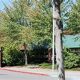 Top-rated Heatherwood Middle School: A Guide | Best Schools in America: Top Public & Private Options