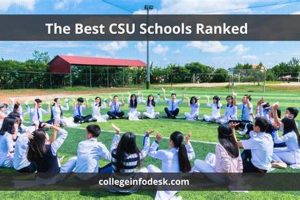 Top California State University (CSU) Schools | Best Schools in America: Top Public & Private Options