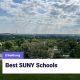 Top SUNY Schools for Psychology Degrees | Best Schools in America: Top Public & Private Options