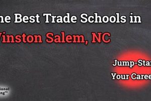 Top-Rated Schools in Winston-Salem, NC (2024) | Best Schools in America: Top Public & Private Options