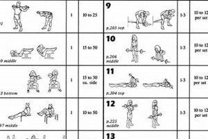 Top High School Weight Training Program PDF Guide | Best Schools in America: Top Public & Private Options