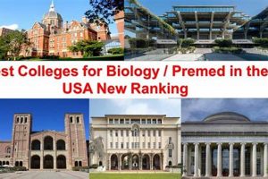 Top Biology Schools in California: 2024 Guide | Best Schools in America: Top Public & Private Options