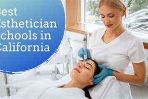 Find the Best Esthetician Schools Near You | Best Schools in America: Top Public & Private Options
