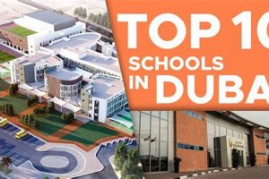 Top Best Schools in Dubai UAE | Best Schools in America: Top Public & Private Options