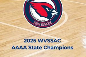 Spring Mills High School Basketball: A Winning Tradition | Best Schools in America: Top Public & Private Options