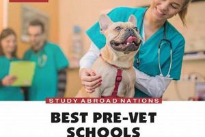 Top 10 Best Pre-Vet Schools & Programs | Best Schools in America: Top Public & Private Options