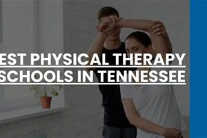 Top Physical Therapy Schools in Tennessee 2024 | Best Schools in America: Top Public & Private Options