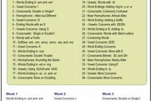 Mastering High School Spelling: A Comprehensive Guide Best Schools in America: Top Public & Private Options Mastering High School Spelling: A Comprehensive Guide | Best Schools in America: Top Public & Private Options