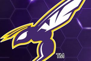 Valley Center HS Football: Home of the Jaguars | Best Schools in America: Top Public & Private Options