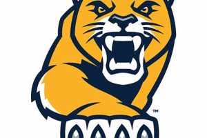 Texas High School Football: La Marque Cougars | Best Schools in America: Top Public & Private Options