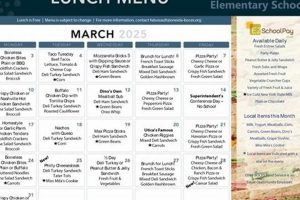 Chicago Public Schools Lunch Menu: A Guide | Best Schools in America: Top Public & Private Options