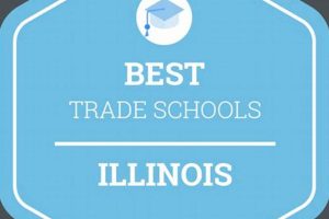 Top Trade Schools in Illinois: 2024 Guide | Best Schools in America: Top Public & Private Options