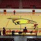 Stafford HS Basketball: Team, News & More | Best Schools in America: Top Public & Private Options