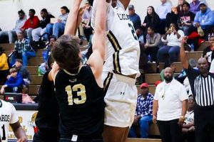 Lakewood High Basketball: School Team Pride | Best Schools in America: Top Public & Private Options