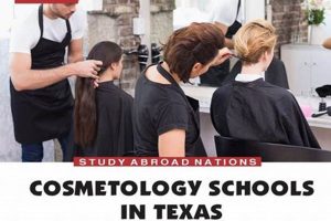 Top St. Louis Cosmetology Schools & Programs Best Schools in America: Top Public & Private Options Top St. Louis Cosmetology Schools & Programs | Best Schools in America: Top Public & Private Options