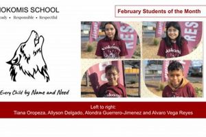 Top-Rated Nokomis Elementary School: A Guide | Best Schools in America: Top Public & Private Options