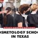 Top-Rated Cosmetology Schools in DFW: 2024 Guide | Best Schools in America: Top Public & Private Options