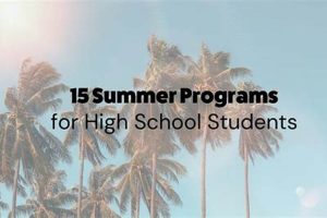 Top Free Summer Programs for High Schoolers | Best Schools in America: Top Public & Private Options