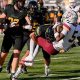 Rockbridge High Football: Wildcats Pride | Best Schools in America: Top Public & Private Options