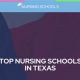 Top Texas Nursing Schools (2024 Update) | Best Schools in America: Top Public & Private Options