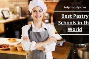 Top 10 Best Pastry Schools In The World 2024 | Best Schools in America: Top Public & Private Options