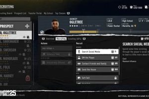 Top NCAA 25 Recruiting Schools & Strategies | Best Schools in America: Top Public & Private Options