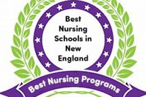 Top 10 Best New England Nursing Schools (2024) Best Schools in America: Top Public & Private Options Top 10 Best New England Nursing Schools (2024) | Best Schools in America: Top Public & Private Options