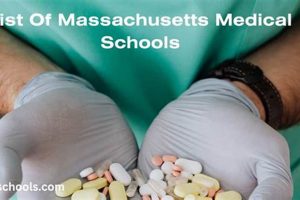 Top Medical Schools in Massachusetts 2024 | Best Schools in America: Top Public & Private Options