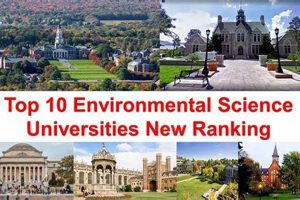 Top 10 Best Ecology Schools: 2024 Rankings | Best Schools in America: Top Public & Private Options