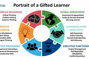 Top Schools for Gifted Students: A Guide | Best Schools in America: Top Public & Private Options