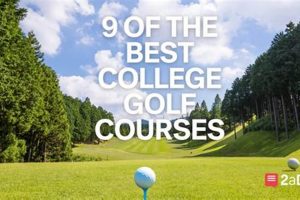 Top 10 Best College Golf Schools in the US | Best Schools in America: Top Public & Private Options