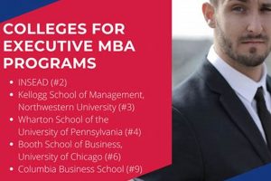 Top 10 Best MBA Schools in Chicago: 2024 Ranking | Best Schools in America: Top Public & Private Options