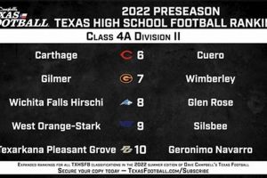 Top Texas HS Football 4A D2 Rankings 2024 | Best Schools in America: Top Public & Private Options