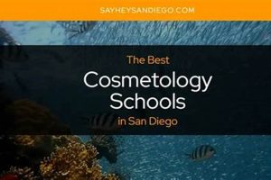 Top San Diego Cosmetology Schools & Programs Best Schools in America: Top Public & Private Options Top San Diego Cosmetology Schools & Programs | Best Schools in America: Top Public & Private Options