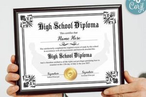Your High School Diploma: Key to Job Applications | Best Schools in America: Top Public & Private Options