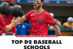 Top DII Baseball Colleges: 2024 Rankings | Best Schools in America: Top Public & Private Options
