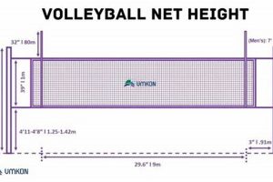 How Tall Is A High School Volleyball Net | Best Schools in America: Top Public & Private Options