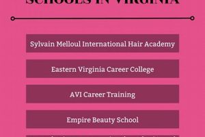 Top 10 Cosmetology Schools in Virginia 2024 | Best Schools in America: Top Public & Private Options