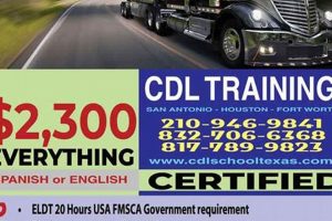 Top-Rated CDL Schools Near Me: Find Best Training | Best Schools in America: Top Public & Private Options