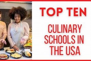 Top 10 US Culinary Schools: 2024 Rankings | Best Schools in America: Top Public & Private Options