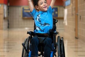 Gaenslen Elementary: Addressing Special Ed Needs Best Schools in America: Top Public & Private Options Gaenslen Elementary: Addressing Special Ed Needs | Best Schools in America: Top Public & Private Options