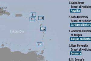 Top Caribbean Med Schools: Guide & Rankings Best Schools in America: Top Public & Private Options Top Caribbean Med Schools: Guide & Rankings | Best Schools in America: Top Public & Private Options