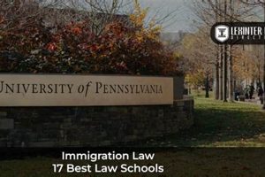 Top Law Schools for Immigration Law Experts | Best Schools in America: Top Public & Private Options