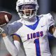 Peachtree Ridge HS Football: Lions Pride | Best Schools in America: Top Public & Private Options