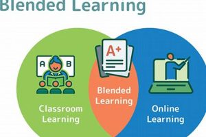 Duval County's Guide to Blended Learning Success | Best Schools in America: Top Public & Private Options
