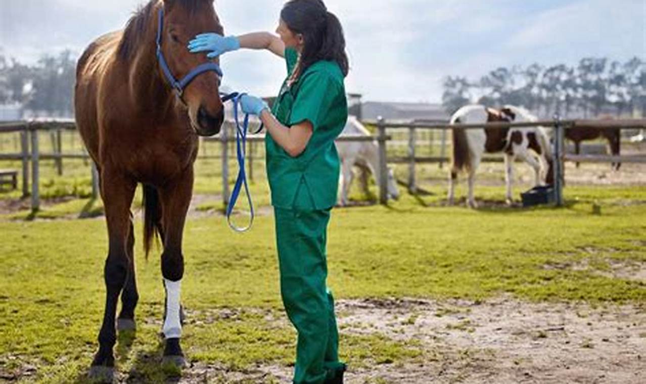Top 10 Best Equine Vet Schools: 2024 Guide