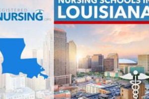 Top Louisiana Nursing Schools: 2024 Guide | Best Schools in America: Top Public & Private Options