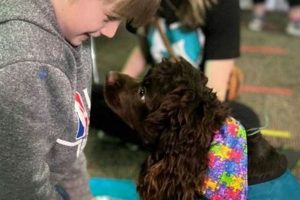 Top Autism Elementary Schools Near Me: Find the Perfect Fit | Best Schools in America: Top Public & Private Options