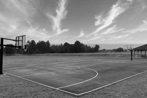 Can You Play Basketball at Elementary Schools? A Guide | Best Schools in America: Top Public & Private Options